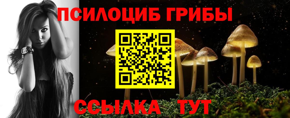Хасавюрт  Псилоцибиновые грибы Magic Shrooms  Псилоцибиновые грибы мухоморы  Вход с VPN 